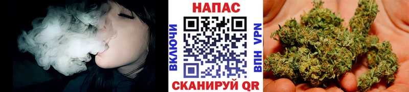 Шишки марихуана сатива  Купить где  Кинель 